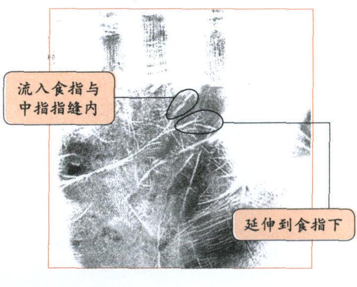 揭秘呼吸系統(tǒng)——1線